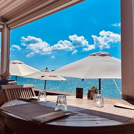 Résidence Domaine De Caranella公寓 维琪奥港 外观 照片