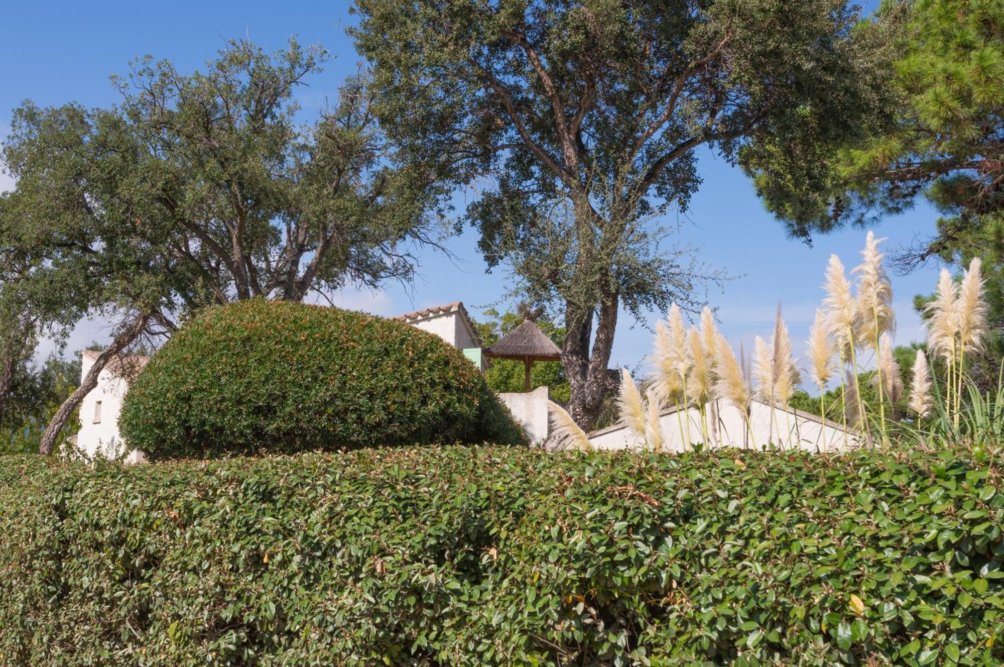 Résidence Domaine De Caranella公寓 维琪奥港 外观 照片